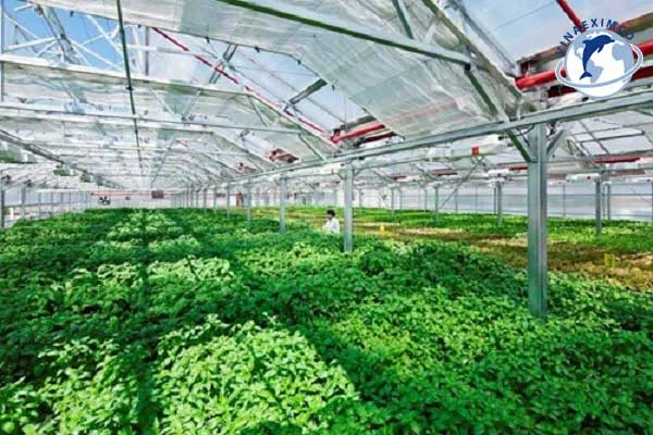 Làm nông nghiệp tại Nhật Bản