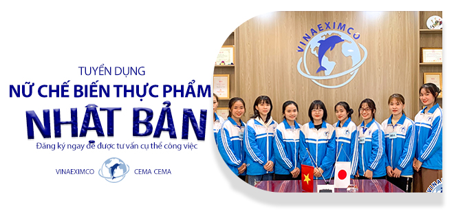 Vinaeximco (CEMA) tuyển dụng đơn nữ 1 năm Nhật Bản