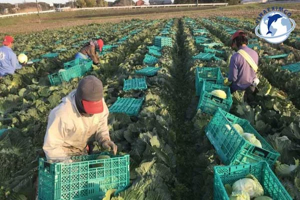 Một số công việc xa trung tâm 